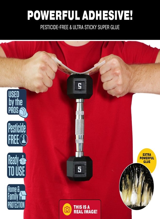 كاتشماستر ألواح لاصقة لصيد الصراصير من كاتشماستر، عبوة من 6 قطع، مصيدة حشرات لاصقة، قاتل للحشرات والصراصير، مصائد للعقارب والعناكب والجراد والصراصير المنزلية، مصائد لاصقة بالجملة للمنزل والجراج، مكافحة الآفات المنزلية - Image 2